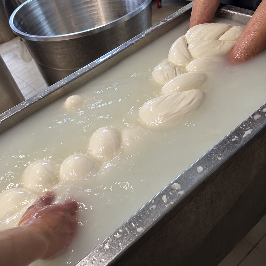 Il Coccodrillo di Battipaglia, treccia gigante nella vasca di lavorazione
