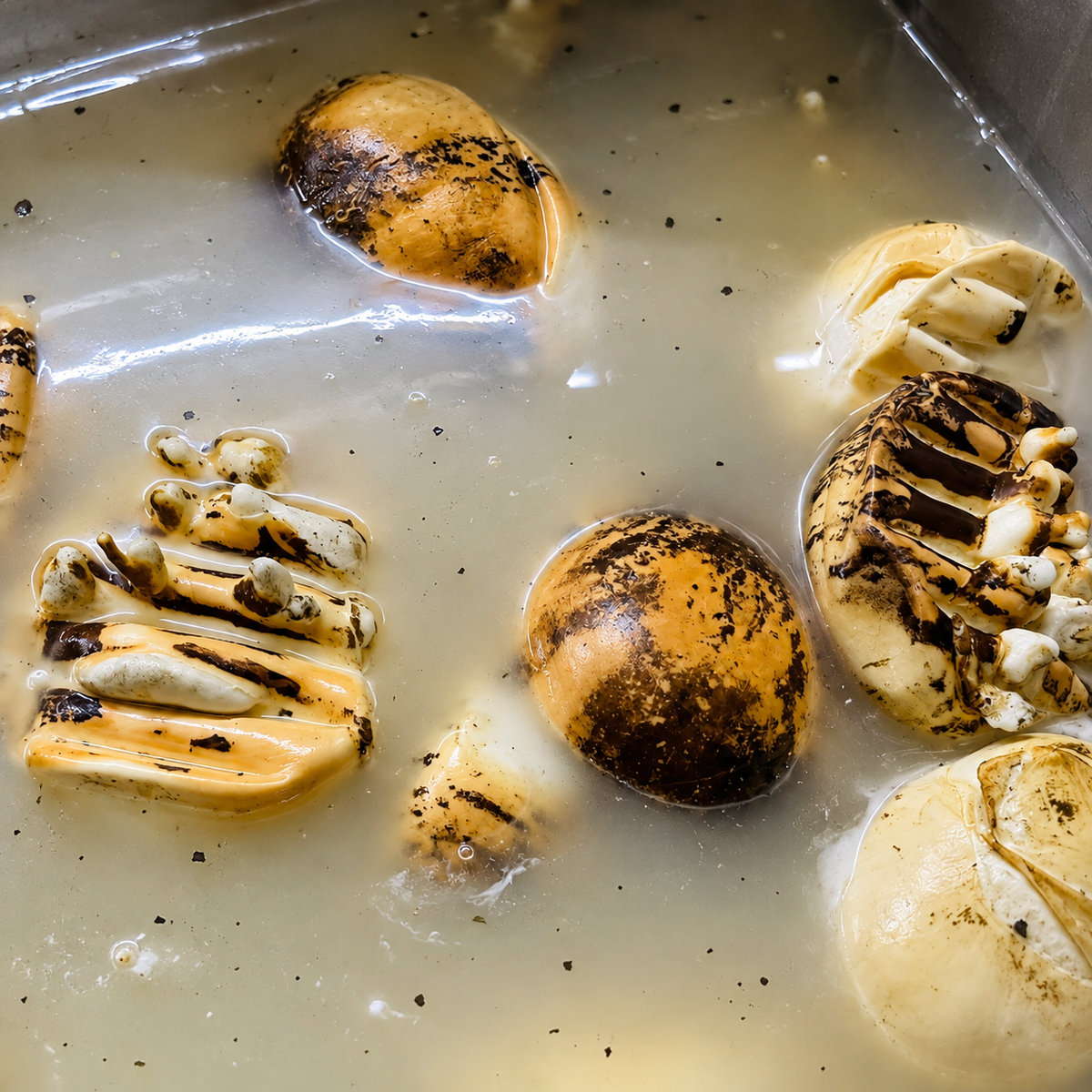 Smoked buffalo mozzarellas in the dairy vat
