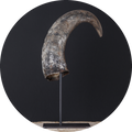 Accessori Design AMB: Il Corno - foto 1