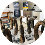 Accessori Design AMB: Il Corno - foto 4