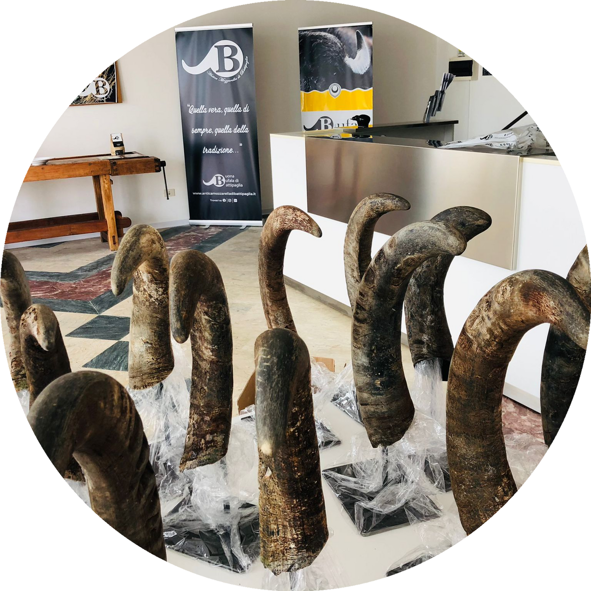 Accessori Design AMB: Il Corno - foto 4