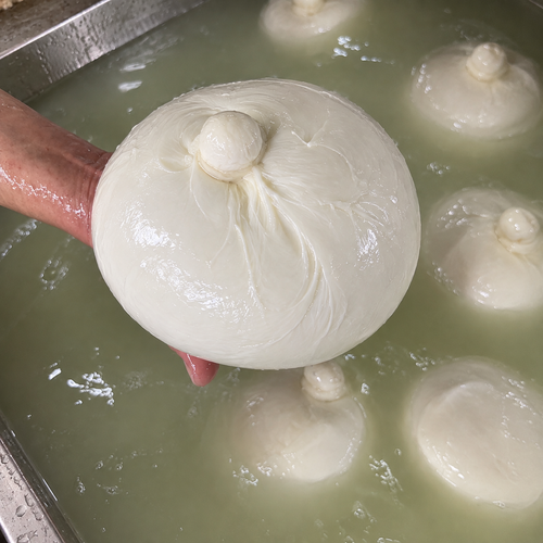 Zizzona di bufala sul piatto AMB